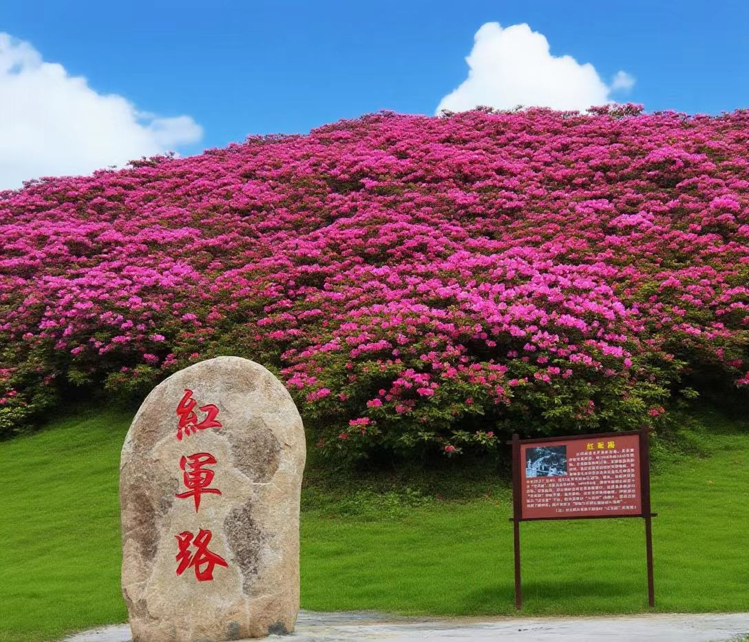传统村落图