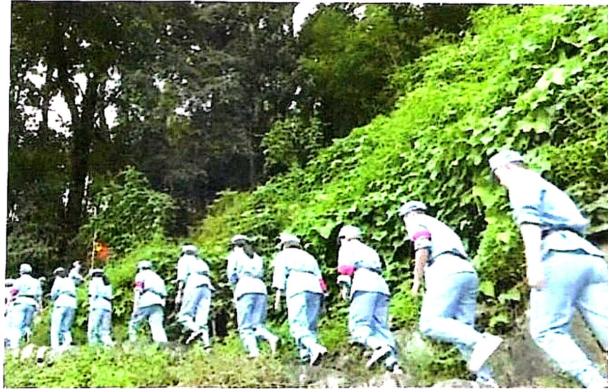 传统村落图